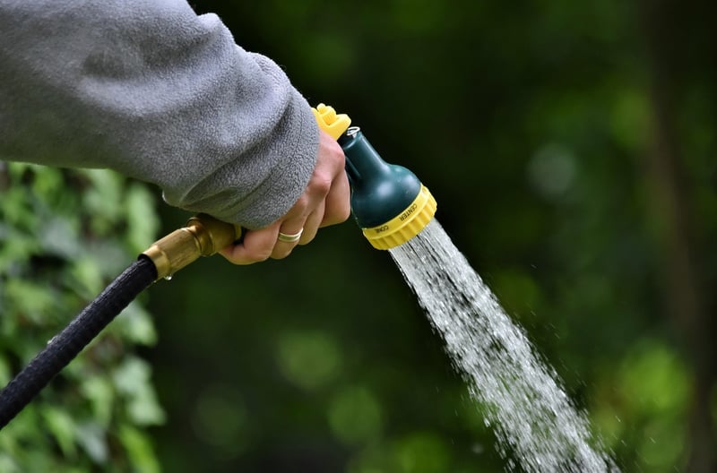 Kraken Watering Cans